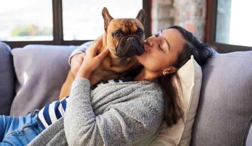 How Do Dogs Choose Their Primary Human? – Nurture Your Pet