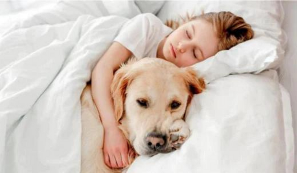 When should you let your dog sleep with you on sale