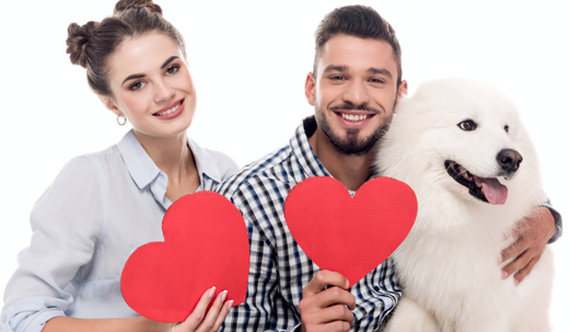 5 Ways to Make Valentine's Day Special for Your Dog