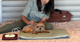 NYP Oliver PEMF Device: Dog relaxing on a therapeutic PEMF mat. Personalized pet therapy.