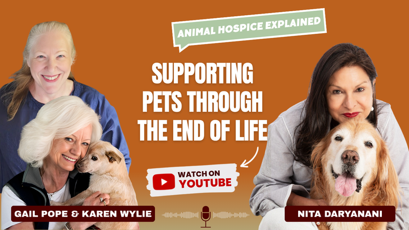 Animal Hospice & End-of-Life Care: What Every Pet Guardian Needs to Know