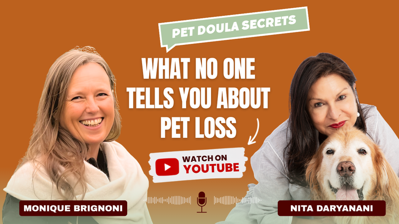 Interview with Monique Brignoni & Nita Daryanani