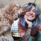 Nirvana cuddling a golden cocker spaniel