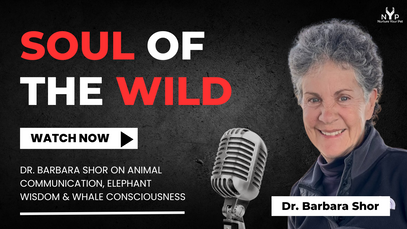 Promotional graphic for 'Soul of the Wild' featuring Dr. Barbara Shor with a microphone and text about animal communication.