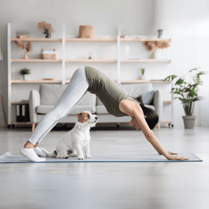 Women Doing Yoga while her Dog is observing