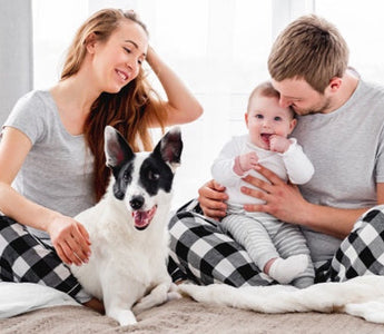 Happy family in pajamas with baby and dog on bed