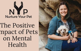 The Positive Impact of Pets on Mental Health