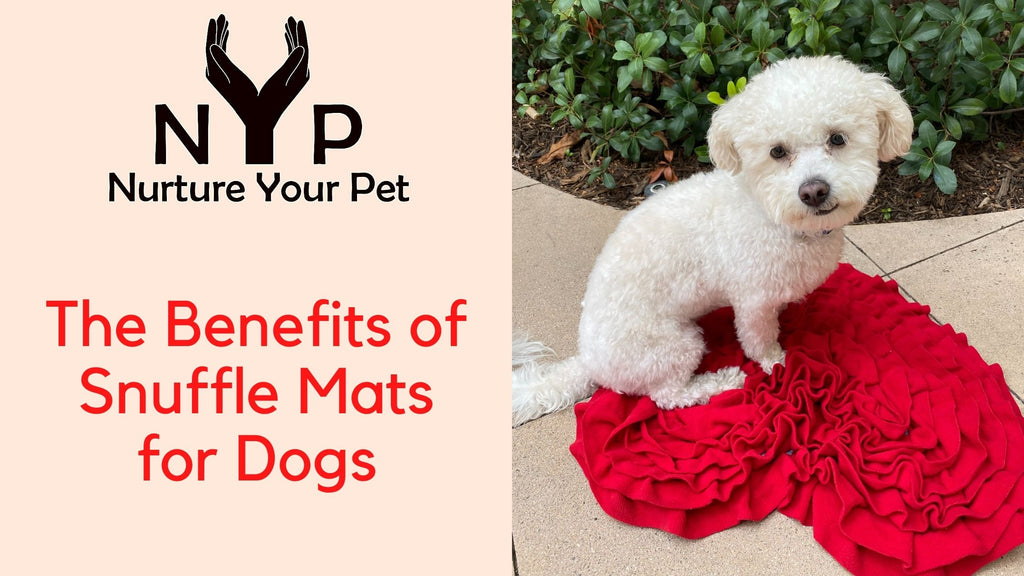 The Benefits of Snuffle Mats for Dogs
