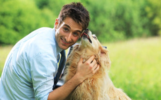 4 Things to Consider Before Hiring a Pet Sitter