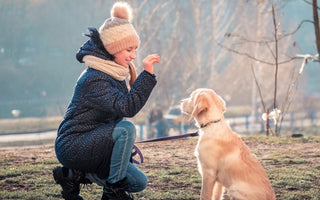 5 Essential Commands you should teach your Dog