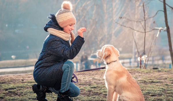 5 Essential Commands you should teach your Dog
