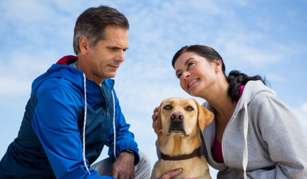 5 Mind Blowing Benefits of Holistic Pet Care