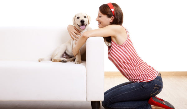 5 Proven ways to calm your Anxious Pets