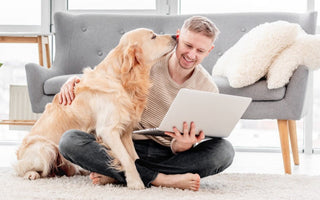 Man working on laptop with Golden Retriever dog