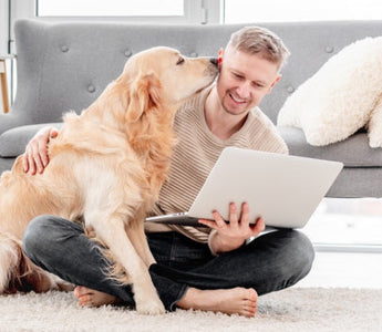 Man working on laptop with Golden Retriever dog