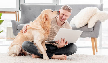 5 Tips for Enjoying a Home Office with Your Dog