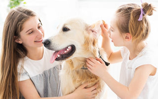 5 Ways to Say ‘I Love You’ in Dog Language