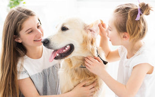 Two girls cuddling and petting a Golden Retriever dog.