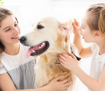 Two girls cuddling and petting a Golden Retriever dog.