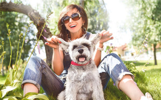 Happy woman playing with her Miniature Schnauzer in a sunny garden.