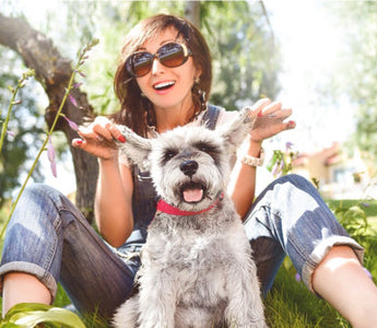 Happy woman playing with her Miniature Schnauzer in a sunny garden.