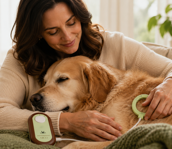 PEMF for Wound Healing in Pets: A Guide for Dogs and Cats