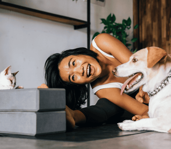 The Truth About PEMF for Pets: 6 Common Myths Explained