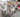 Archie and Sassy: The Inseparable Cairn Terrier Duo Who Stole Everyone's Hearts