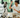 Why Dog Routine Matters: Understanding The Comfort of Predictability