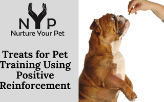Treats for Pet Training Using Positive Reinforcement