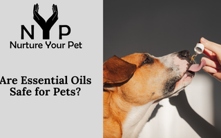 Are Essential Oils Safe for Pets?