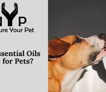 Are Essential Oils Safe for Pets?