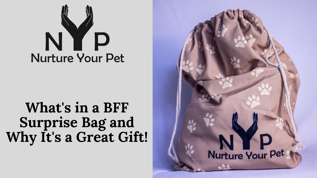 What’s in a BFF Surprise Bag and Why It’s a Great Gift