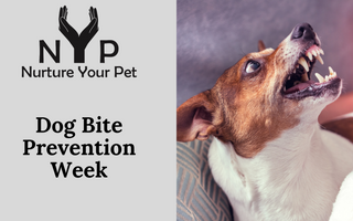Dog Bite Prevention Week