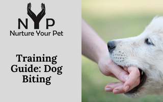 Training Guide: Dog Biting
