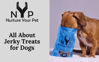 All About Jerky Treats for Dogs