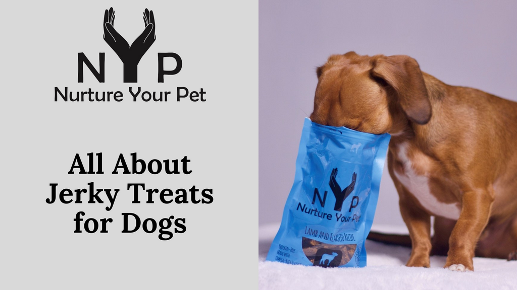 All About Jerky Treats for Dogs