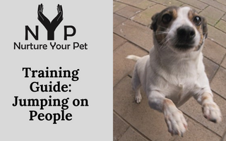 Training Guide: Jumping on People