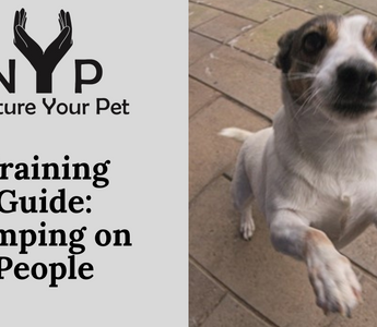 Training Guide: Jumping on People
