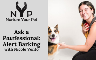 Ask a Pawfessional: Alert Barking with Nicole Vento