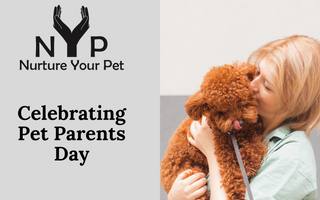 Woman lovingly hugs her fluffy red poodle, celebrating Pet Parents Day. Nurture Your Pet