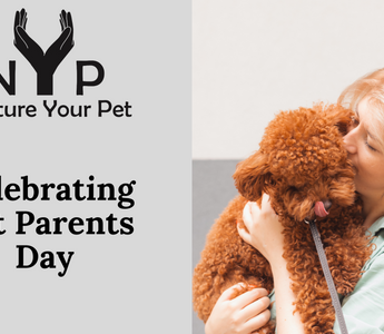 Woman lovingly hugs her fluffy red poodle, celebrating Pet Parents Day. Nurture Your Pet