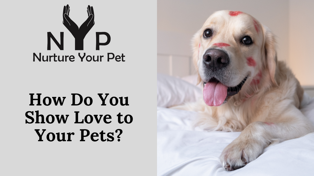 How Do You Show Love to Your Pets?