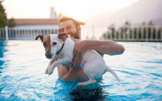Man holding a Jack Russell Terrier in a swimming pool