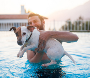 Man holding a Jack Russell Terrier in a swimming pool