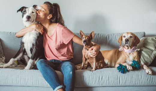 Tips for Managing a Multi-Pet Household Without Losing Your Mind