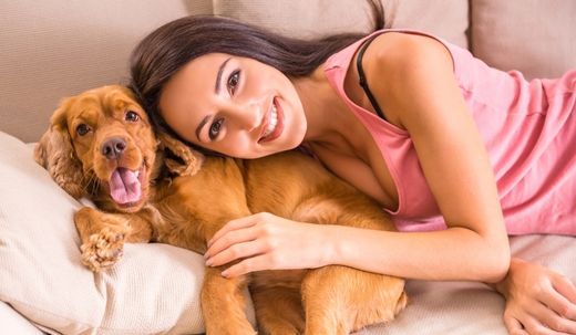 Do Dogs Recognize Human Emotions