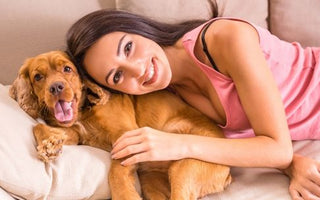 Happy woman cuddling her Cocker Spaniel dog on a couch