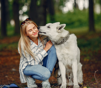 Woman cuddling her white Swiss Shepherd dog in a forest