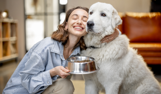 Happy Tummy, Happy Pup: Simple Ways to Increase Fiber in Your Dog's Diet